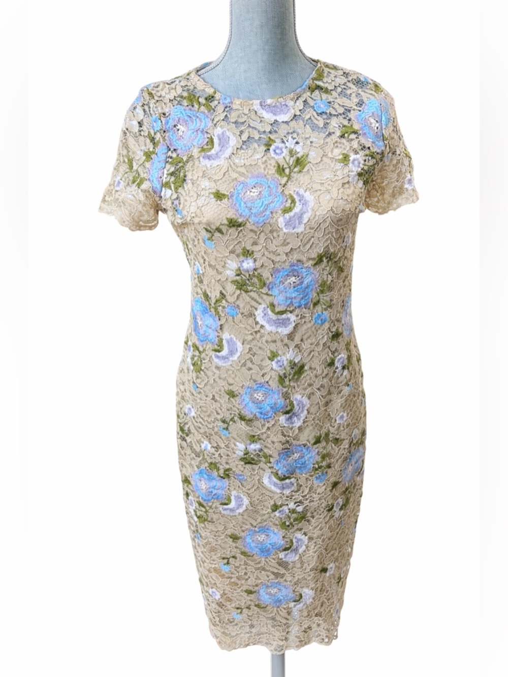 Calvin Klein Beige Blue Floral Embroidered Lace Sheath Dress Size 8